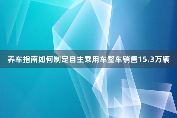 养车指南如何制定自主乘用车整车销售15.3万辆