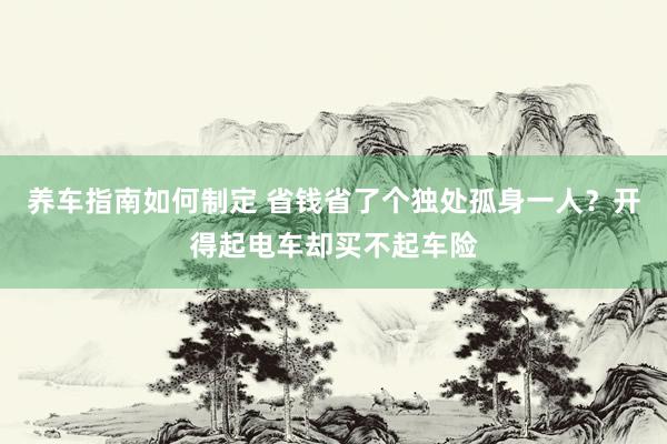 养车指南如何制定 省钱省了个独处孤身一人？开得起电车却买不起车险