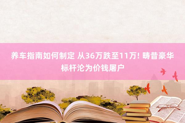 养车指南如何制定 从36万跌至11万! 畴昔豪华标杆沦为价钱屠户