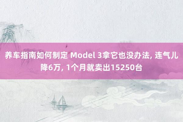 养车指南如何制定 Model 3拿它也没办法, 连气儿降6万, 1个月就卖出15250台