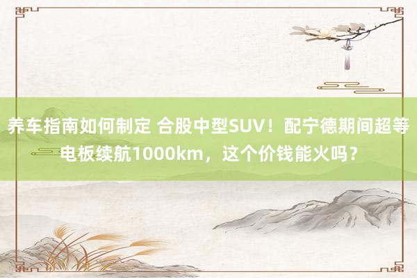 养车指南如何制定 合股中型SUV！配宁德期间超等电板续航1000km，这个价钱能火吗？