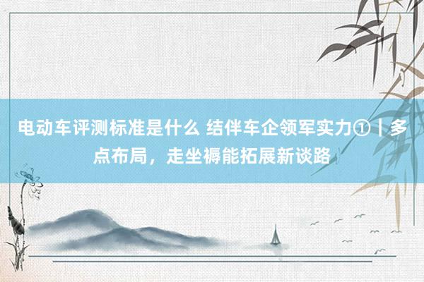 电动车评测标准是什么 结伴车企领军实力①｜多点布局，走坐褥能拓展新谈路