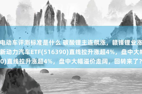 电动车评测标准是什么 碳酸锂主连飙涨，赣锋锂业涨停、宁德期间涨3%，新动力汽车ETF(516390)直线拉升涨超4%，盘中大幅溢价走阔，回转来了？