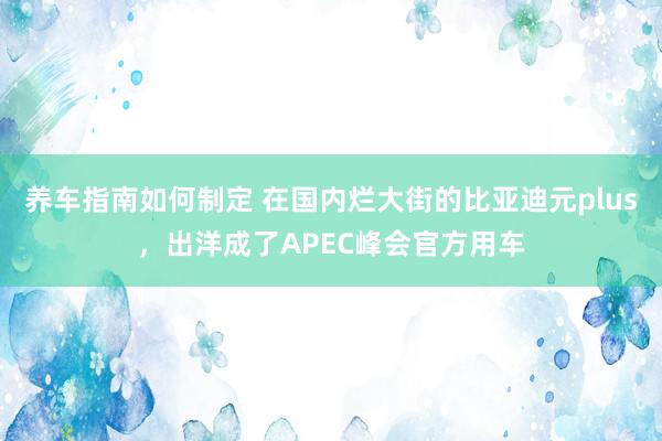 养车指南如何制定 在国内烂大街的比亚迪元plus，出洋成了APEC峰会官方用车