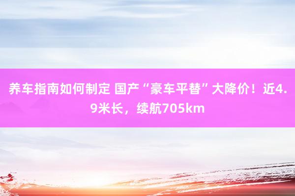 养车指南如何制定 国产“豪车平替”大降价！近4.9米长，续航705km