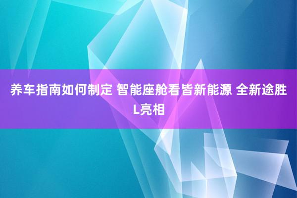 养车指南如何制定 智能座舱看皆新能源 全新途胜L亮相