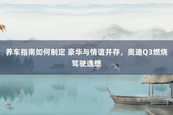 养车指南如何制定 豪华与情谊并存，奥迪Q3燃烧驾驶逸想