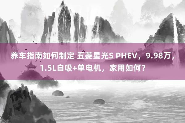 养车指南如何制定 五菱星光S PHEV，9.98万，1.5L自吸+单电机，家用如何？