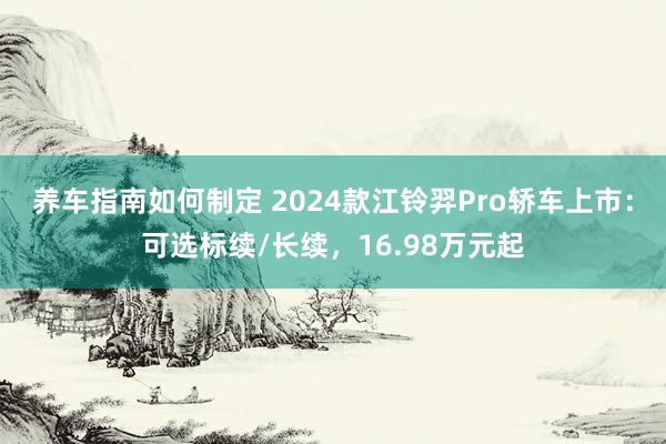 养车指南如何制定 2024款江铃羿Pro轿车上市：可选标续/长续，16.98万元起