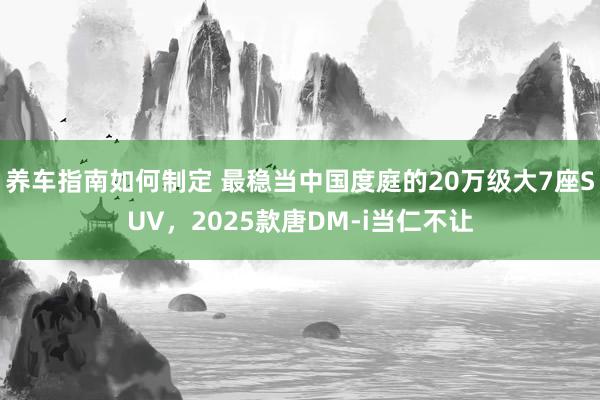 养车指南如何制定 最稳当中国度庭的20万级大7座SUV，2025款唐DM-i当仁不让