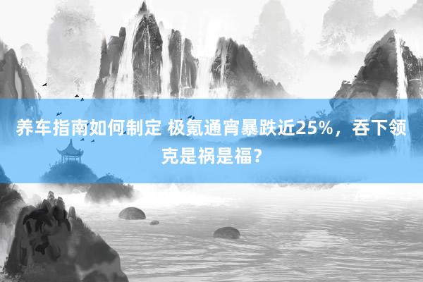 养车指南如何制定 极氪通宵暴跌近25%，吞下领克是祸是福？