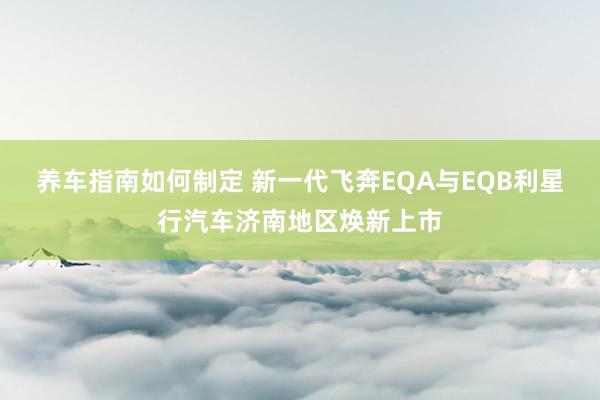 养车指南如何制定 新一代飞奔EQA与EQB利星行汽车济南地区焕新上市