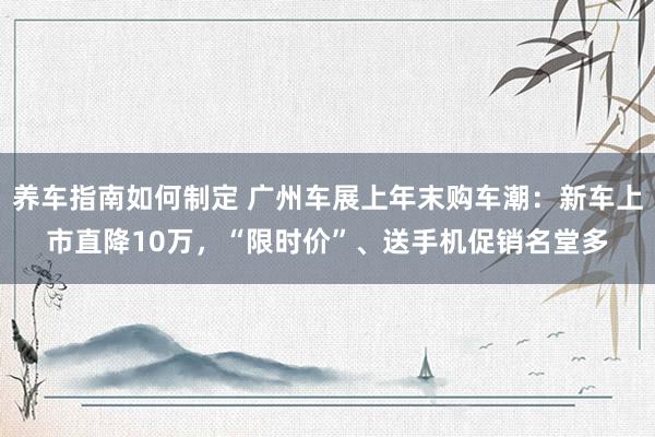 养车指南如何制定 广州车展上年末购车潮：新车上市直降10万，“限时价”、送手机促销名堂多