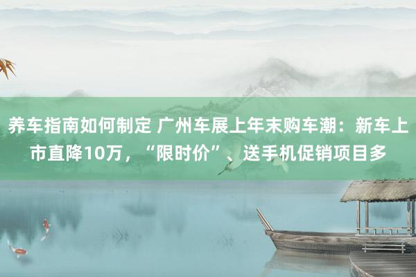 养车指南如何制定 广州车展上年末购车潮：新车上市直降10万，“限时价”、送手机促销项目多