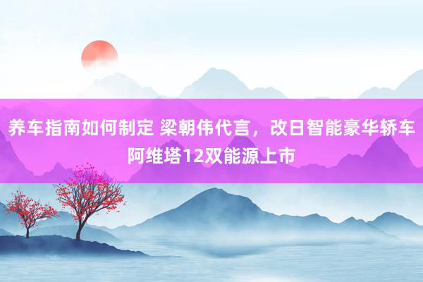 养车指南如何制定 梁朝伟代言，改日智能豪华轿车阿维塔12双能源上市