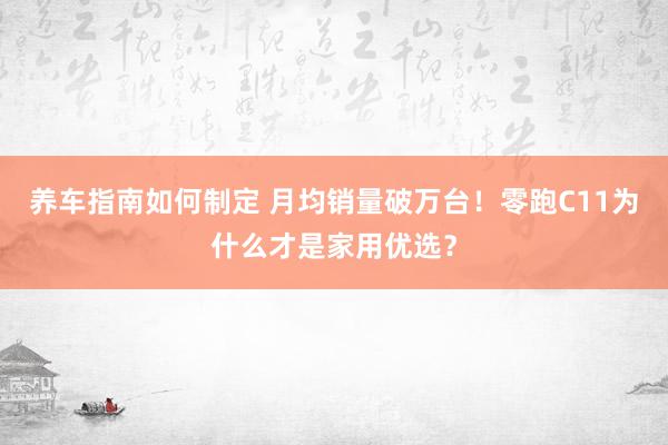 养车指南如何制定 月均销量破万台！零跑C11为什么才是家用优选？