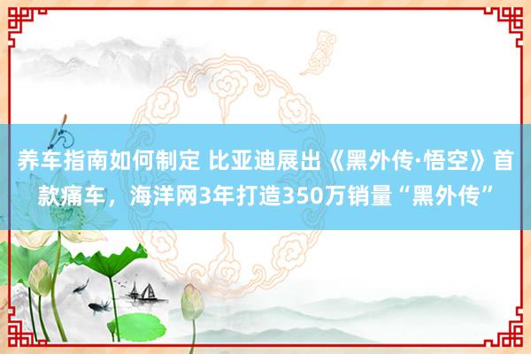 养车指南如何制定 比亚迪展出《黑外传·悟空》首款痛车，海洋网3年打造350万销量“黑外传”