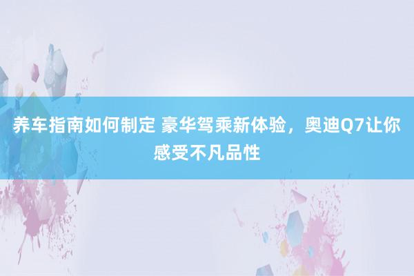 养车指南如何制定 豪华驾乘新体验，奥迪Q7让你感受不凡品性