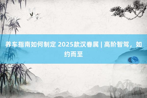 养车指南如何制定 2025款汉眷属 | 高阶智驾，如约而至