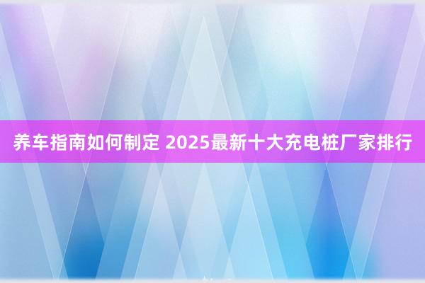 养车指南如何制定 2025最新十大充电桩厂家排行