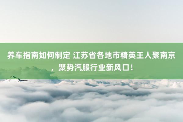 养车指南如何制定 江苏省各地市精英王人聚南京，聚势汽服行业新风口！