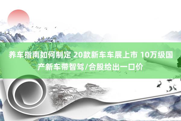 养车指南如何制定 20款新车车展上市 10万级国产新车带智驾/合股给出一口价