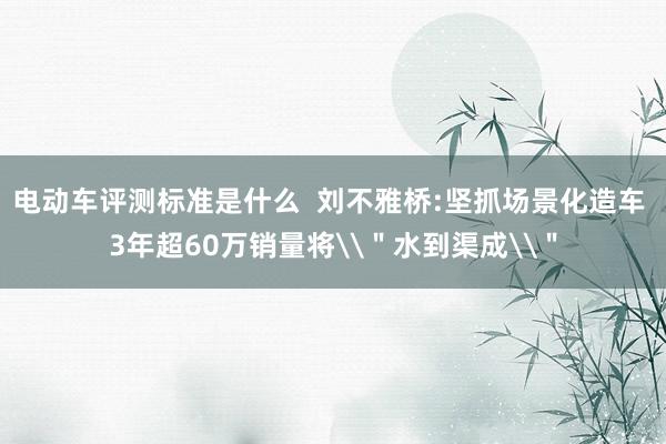 电动车评测标准是什么  刘不雅桥:坚抓场景化造车 3年超60万销量将\＂水到渠成\＂