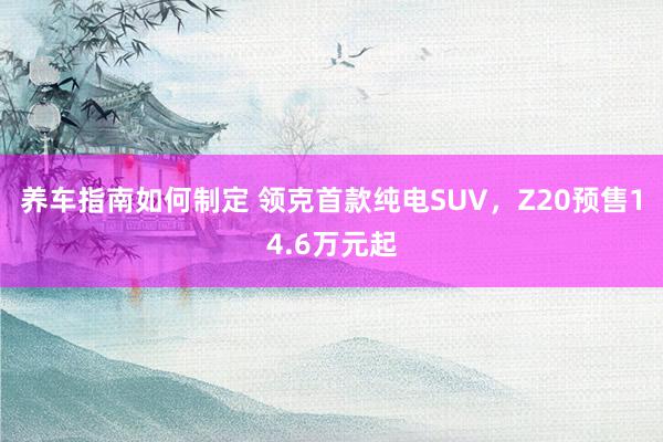 养车指南如何制定 领克首款纯电SUV，Z20预售14.6万元起