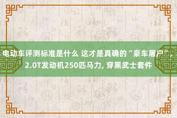 电动车评测标准是什么 这才是真确的“豪车屠户”, 2.0T发动机250匹马力, 穿黑武士套件