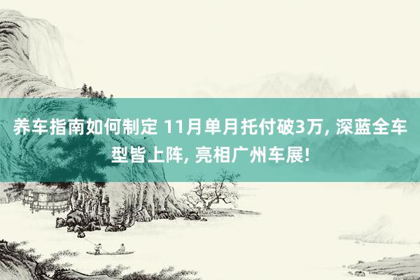 养车指南如何制定 11月单月托付破3万, 深蓝全车型皆上阵, 亮相广州车展!