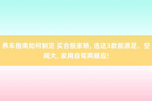 养车指南如何制定 买合股家轿, 选这3款能源足、空间大, 家用自驾两顺应!