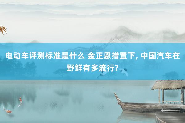 电动车评测标准是什么 金正恩措置下, 中国汽车在野鲜有多流行?