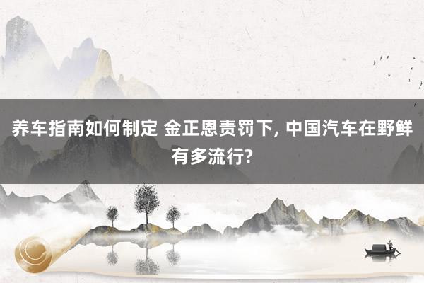 养车指南如何制定 金正恩责罚下, 中国汽车在野鲜有多流行?