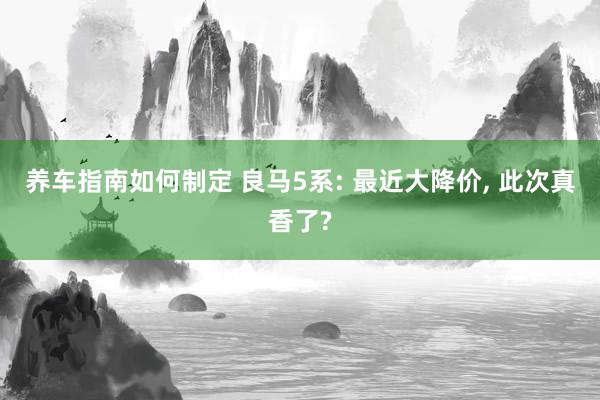 养车指南如何制定 良马5系: 最近大降价, 此次真香了?