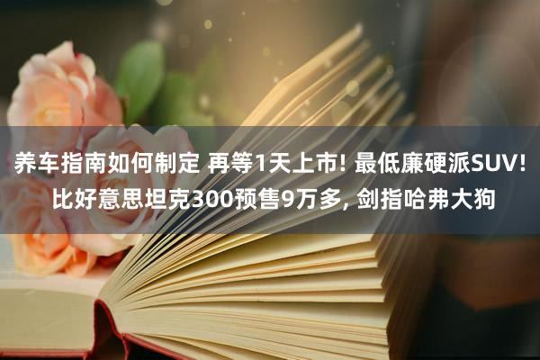 养车指南如何制定 再等1天上市! 最低廉硬派SUV! 比好意思坦克300预售9万多, 剑指哈弗大狗