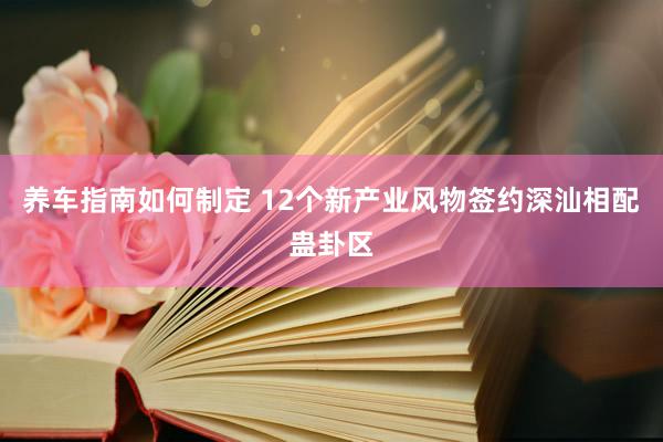 养车指南如何制定 12个新产业风物签约深汕相配蛊卦区