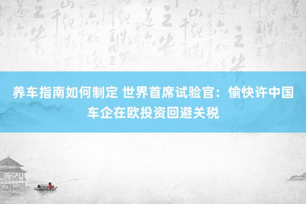 养车指南如何制定 世界首席试验官：愉快许中国车企在欧投资回避关税