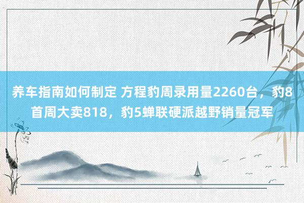 养车指南如何制定 方程豹周录用量2260台，豹8首周大卖818，豹5蝉联硬派越野销量冠军