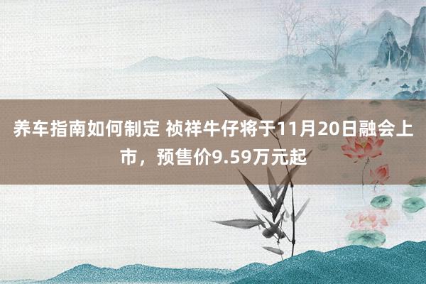 养车指南如何制定 祯祥牛仔将于11月20日融会上市，预售价9.59万元起