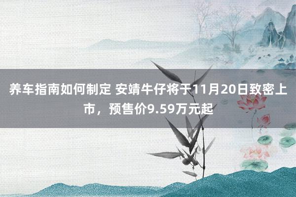 养车指南如何制定 安靖牛仔将于11月20日致密上市，预售价9.59万元起