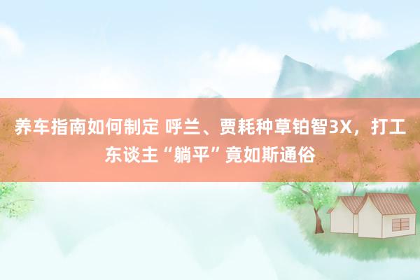 养车指南如何制定 呼兰、贾耗种草铂智3X，打工东谈主“躺平”竟如斯通俗